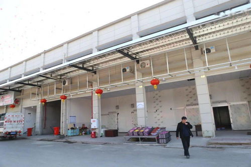 華南農產品批發市場春節銷售創佳績，金屬及金屬礦批發業務亮點頻現